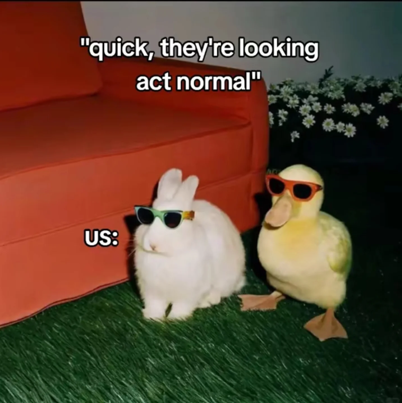 "quick, they're looking act normal" US: NO