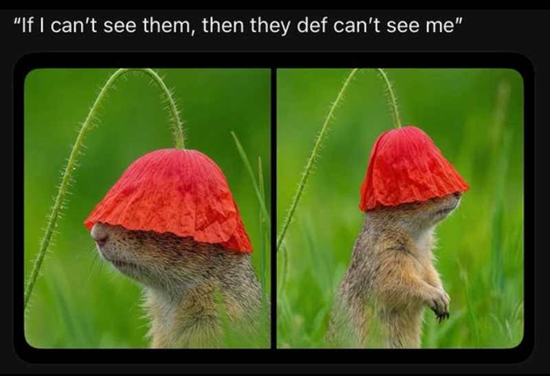"If I can't see them, then they def can't see me"