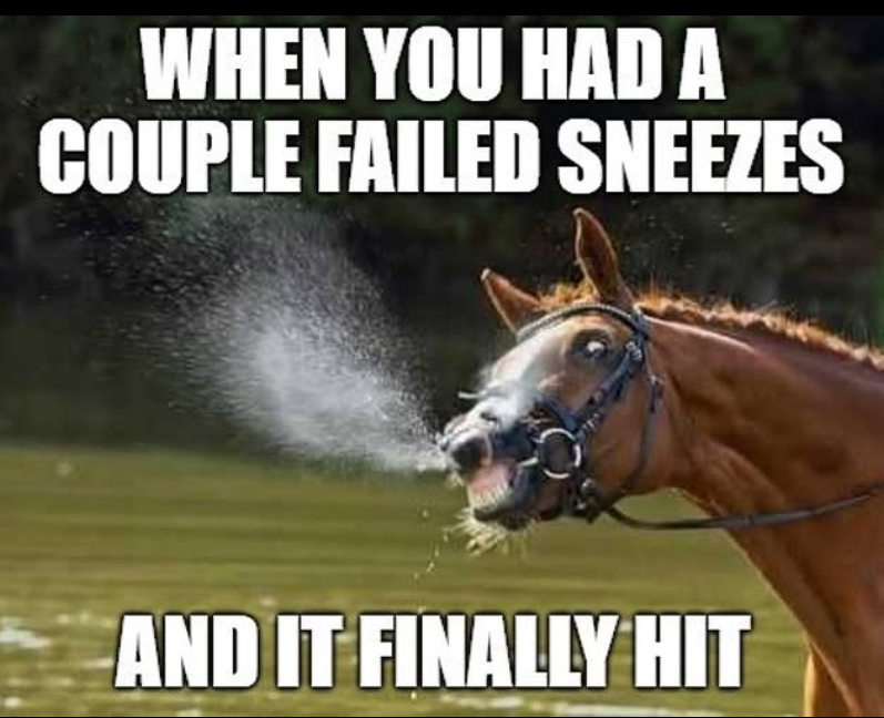 WHEN YOU HAD A COUPLE FAILED SNEEZES AND IT FINALLY HIT