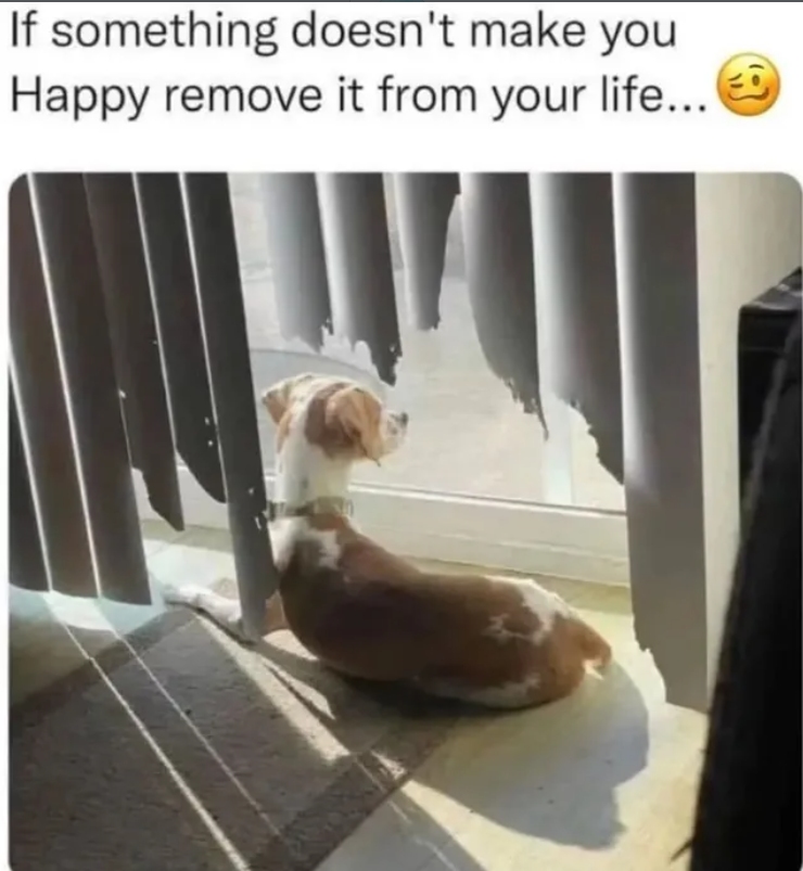 If something doesn't make you Happy remove it from your life...