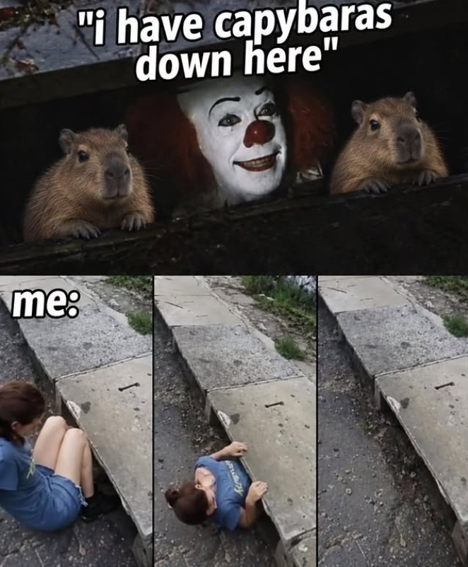 me: "i have capybaras down here"