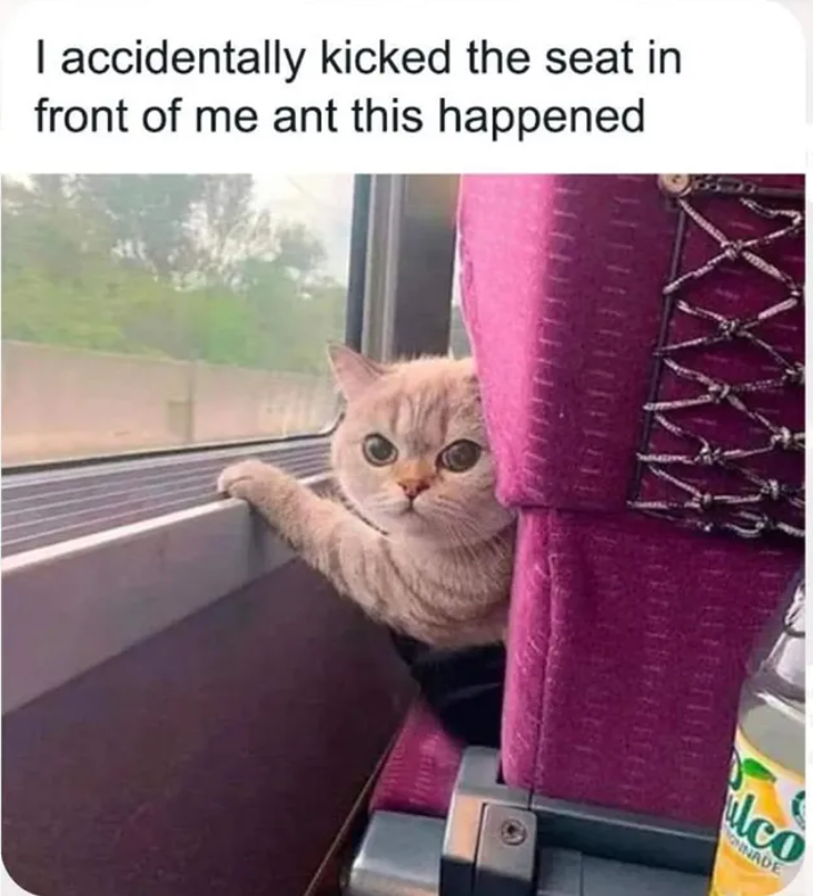 I accidentally kicked the seat in front of me ant this happened 成套 2010 lco NADE