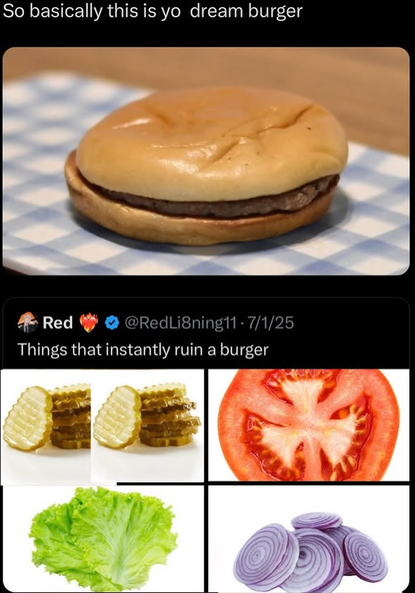 So basically this is yo dream burger Red @RedLi8ning11-7/1/25 Things that instantly ruin a burger