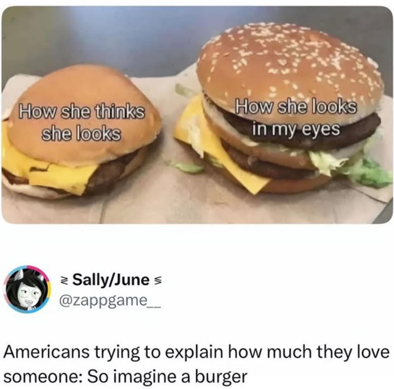 How she thinks she looks How she looks in my eyes ≥ Sally/June @zappgame_ Americans trying to explain how much they love someone: So imagine a burger