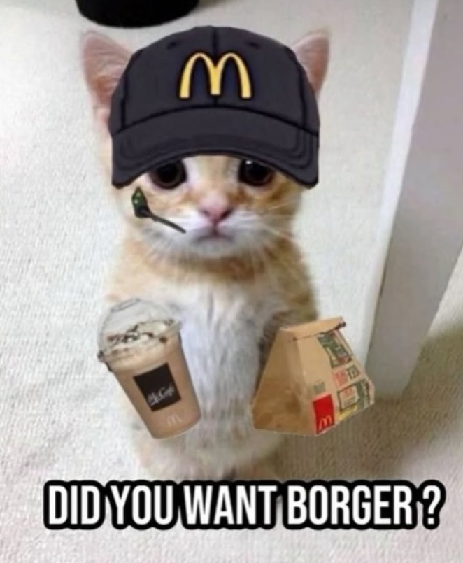 DID YOU WANT BORGER? 機 3