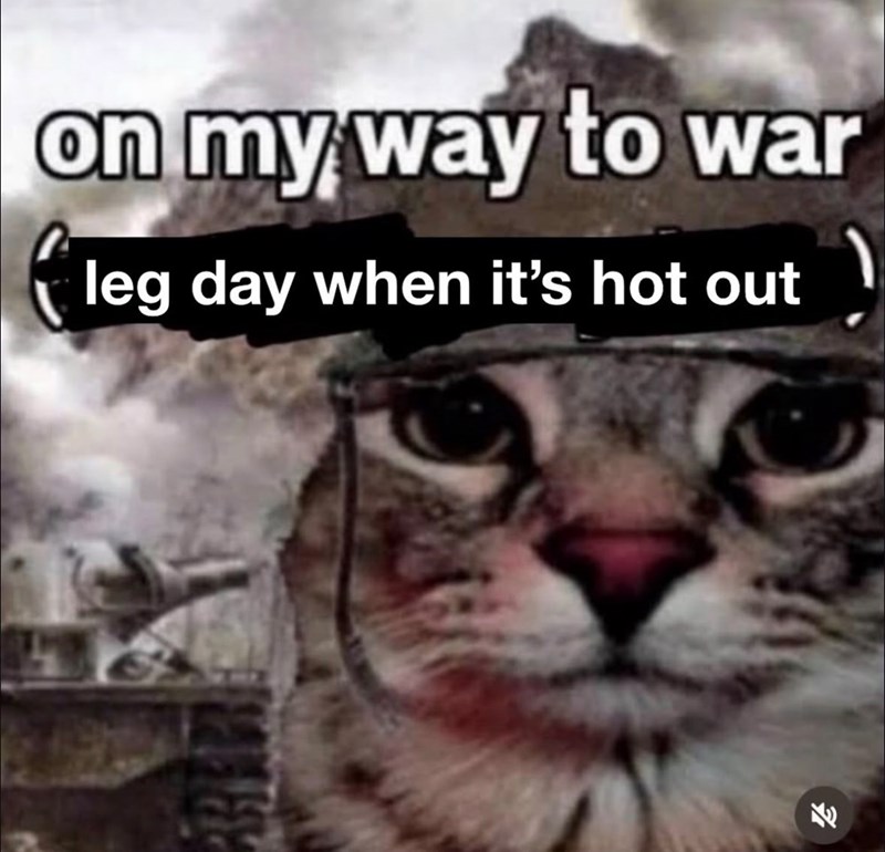 on my way to war (leg day when it's hot out 31