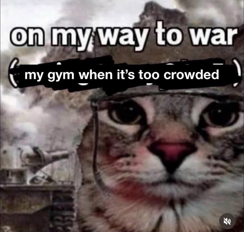 on my way to war for my gym when it's too crowded F1