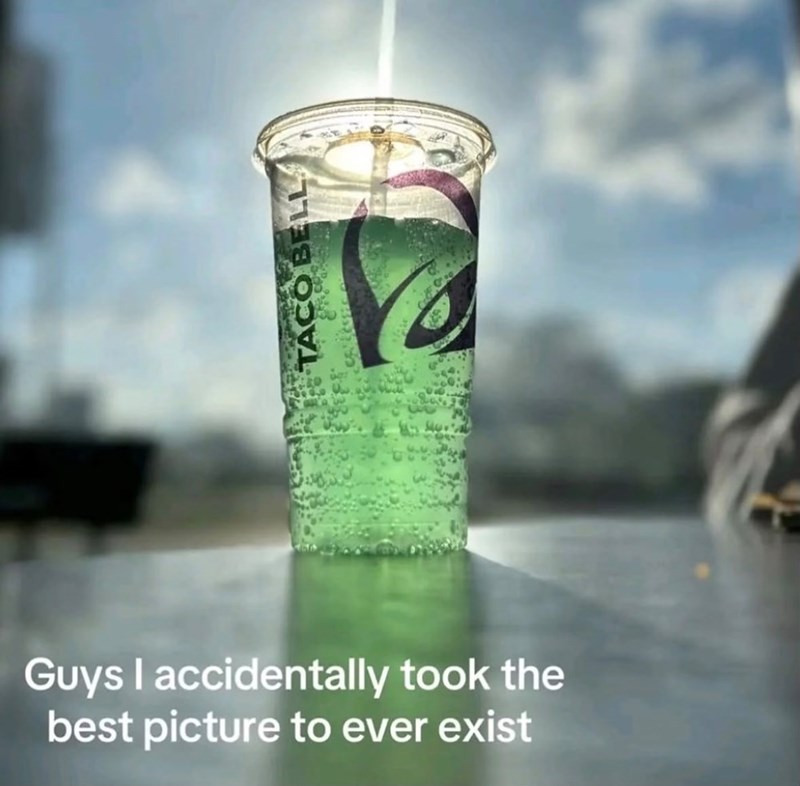 TACO BELL 2 Guys I accidentally took the best picture to ever exist