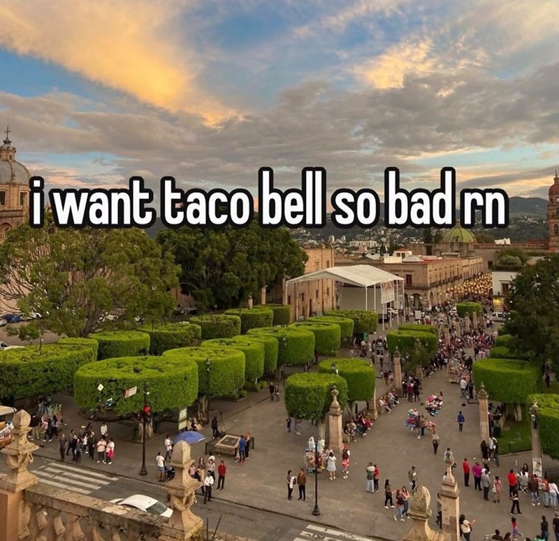 i want taco bell so bad rn