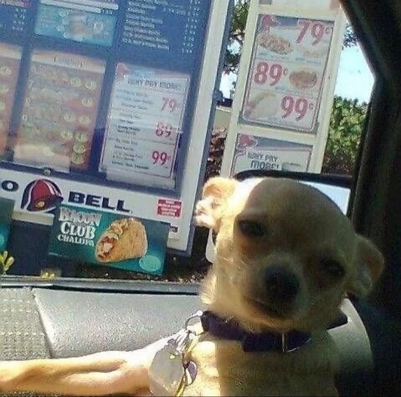 D BELL BADUN CLUB CHALUPA 79 07 99 89% 1907 PAY 79° 99 MORE