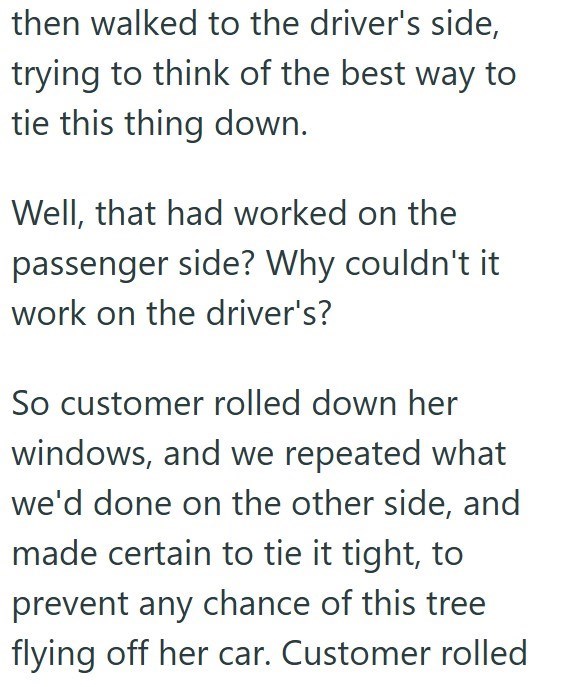 then walked to the driver's side, trying to think of the best way to tie this thing down. Well, that had worked on the passenger side? Why couldn't it work on the driver's? So customer rolled down her windows, and we repeated what we'd done on the other side, and made certain to tie it tight, to prevent any chance of this tree flying off her car. Customer rolled