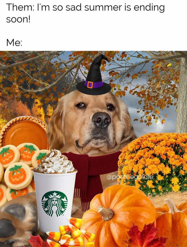 Them: I'm so sad summer is ending soon! Me: @poethegoldie