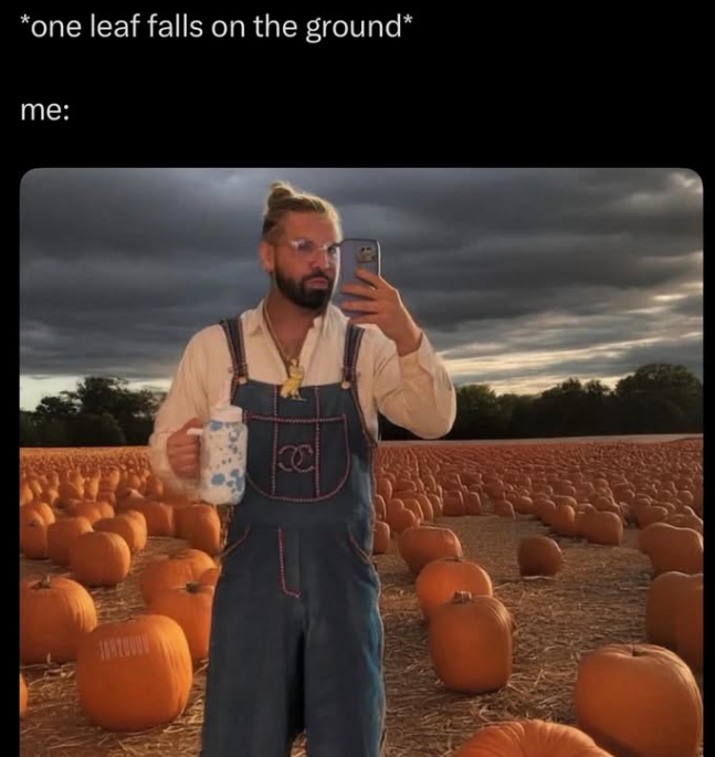 *one leaf falls on the ground* me: ल