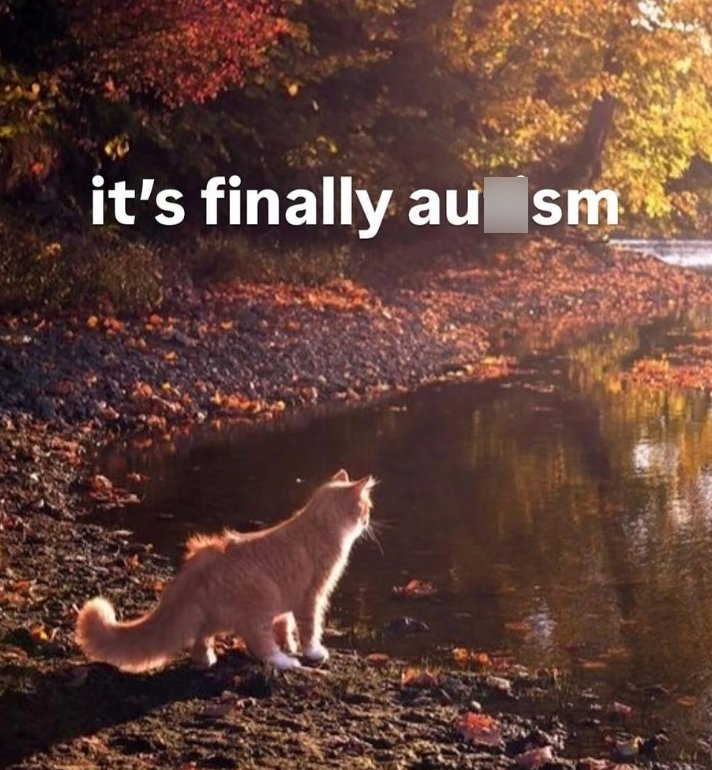it's finally au sm