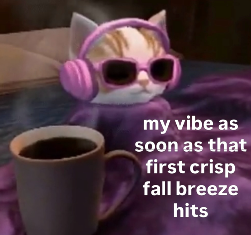 my vibe as soon as that first crisp fall breeze hits