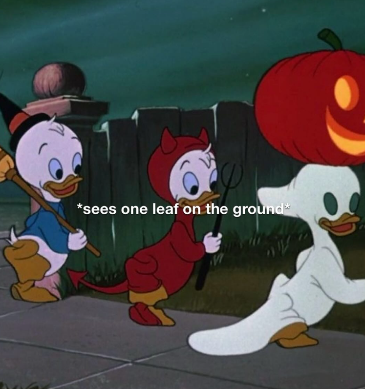 *sees one leaf on the ground*