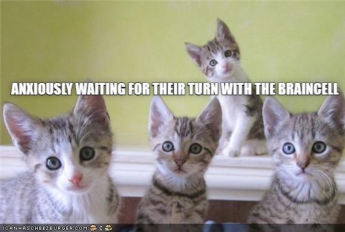 ANXIOUSLY WAITING FOR THEIR TURN WITH THE BRAINCELL ICANHASCHEEZBURGER.COM