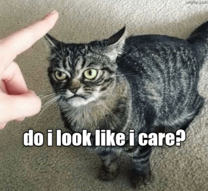 do i look like i care? imgflip.com