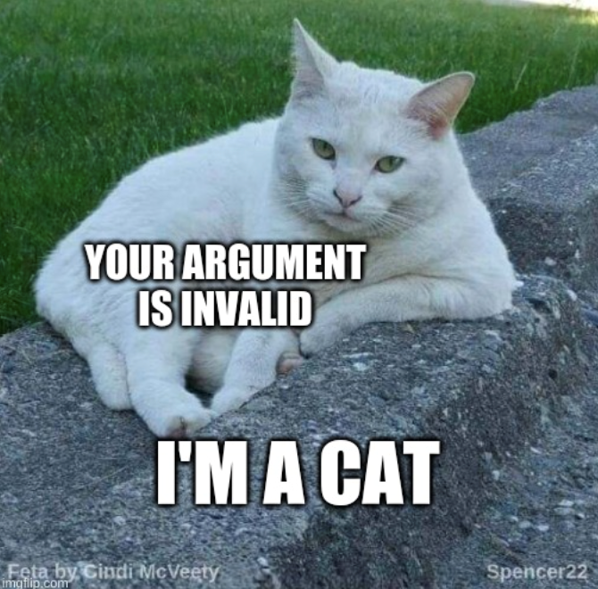 YOUR ARGUMENT IS INVALID I'M A CAT Feta by Cindi McVeety imgflip.com Spencer22