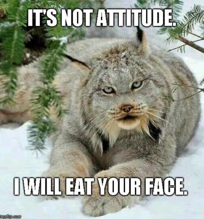 IT'S NOT ATTITUDE. I WILL EAT YOUR FACE. myhip.com