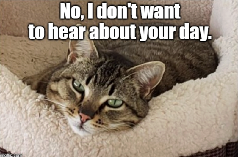 imqflip.com No, I don't want to hear about your day.