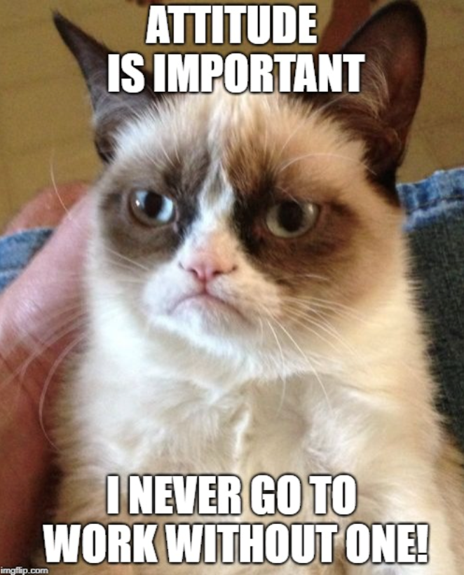 ATTITUDE IS IMPORTANT imgflip.com I NEVER GO TO WORK WITHOUT ONE!