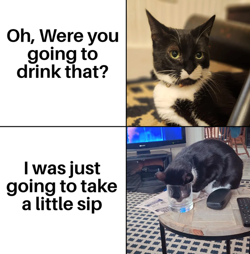 Oh, Were you going to drink that? I was just going to take a little sip 味