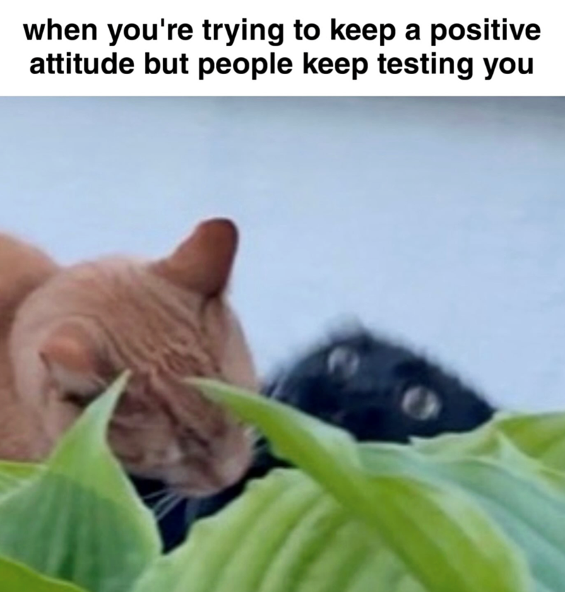 when you're trying to keep a positive attitude but people keep testing you