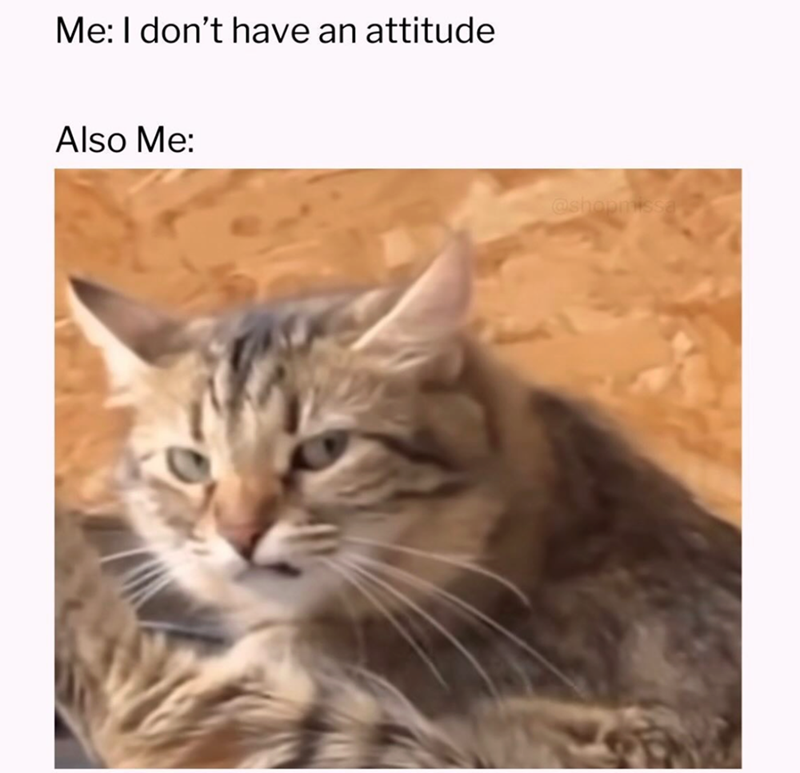 Me: I don't have an attitude Also Me: @shopmissa