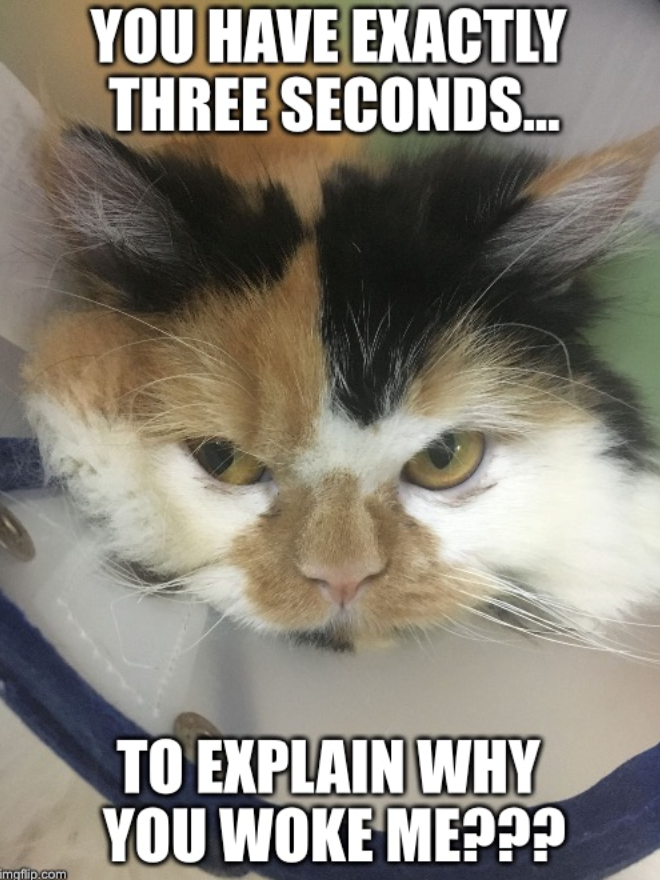 YOU HAVE EXACTLY THREE SECONDS... imgflip.com TO EXPLAIN WHY YOU WOKE ME???