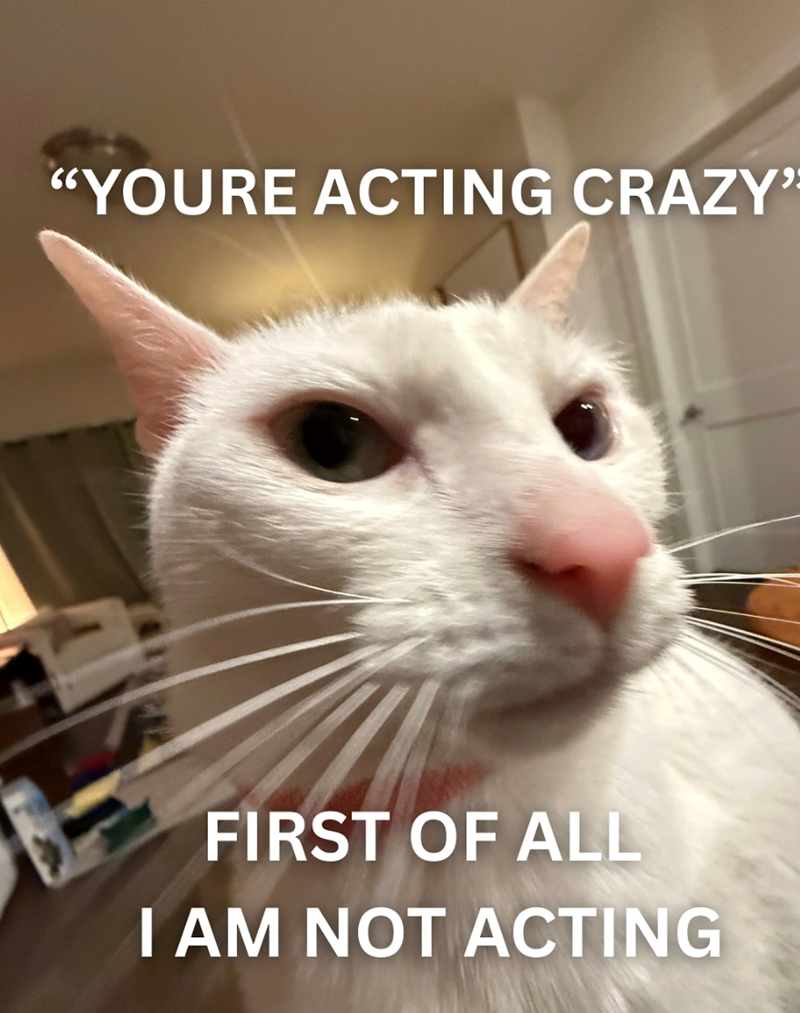 "YOURE ACTING CRAZY' FIRST OF ALL I AM NOT ACTING