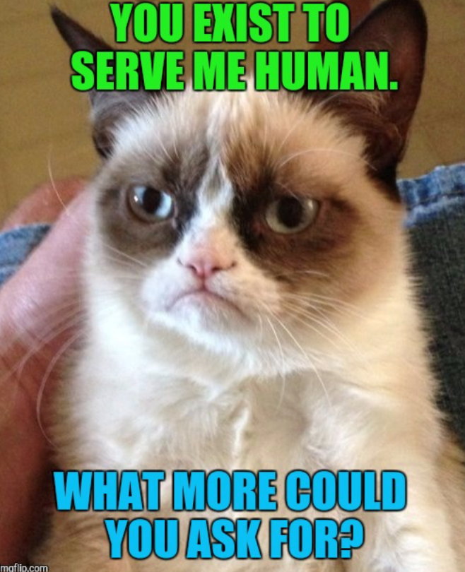 maflip.com YOU EXIST TO SERVE ME HUMAN. WHAT MORE COULD YOU ASK FOR?