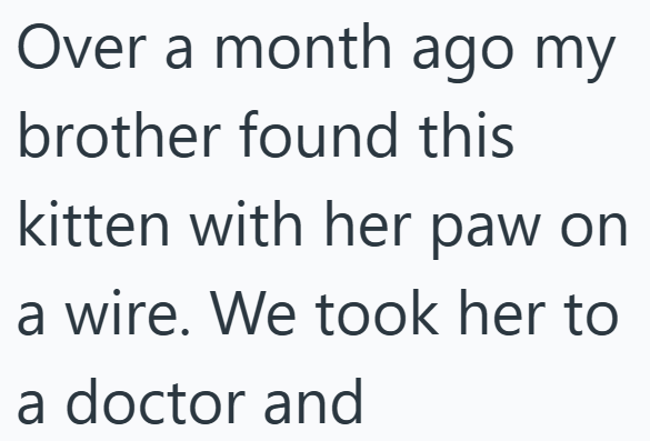 Over a month ago my brother found this kitten with her paw on a wire. We took her to a doctor and