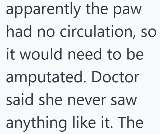 apparently the paw had no circulation, so it would need to be amputated. Doctor said she never saw anything like it. The