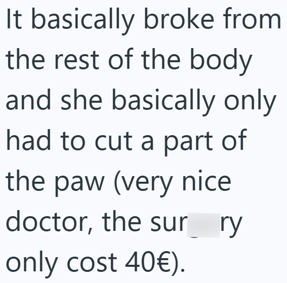 It basically broke from the rest of the body and she basically only had to cut a part of the paw (very nice doctor, the sur ry only cost 40€).