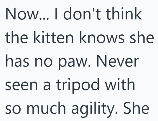 Now... I don't think the kitten knows she has no paw. Never seen a tripod with so much agility. She