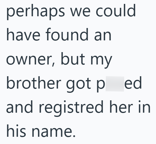 perhaps we could have found an owner, but my brother got ped and registred her in his name.