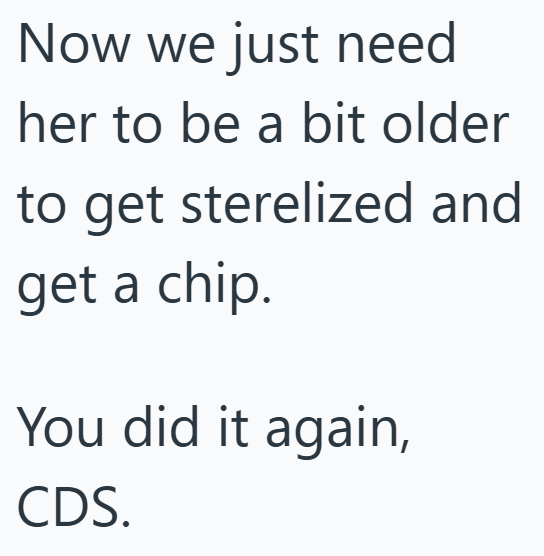 Now we just need her to be a bit older to get sterelized and get a chip. You did it again, CDS.