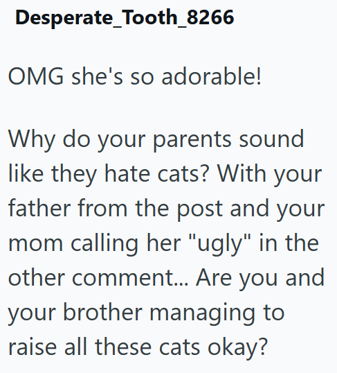 Desperate_Tooth_8266 OMG she's so adorable! Why do your parents sound like they hate cats? With your father from the post and your mom calling her "ugly" in the other comment... Are you and your brother managing to raise all these cats okay?