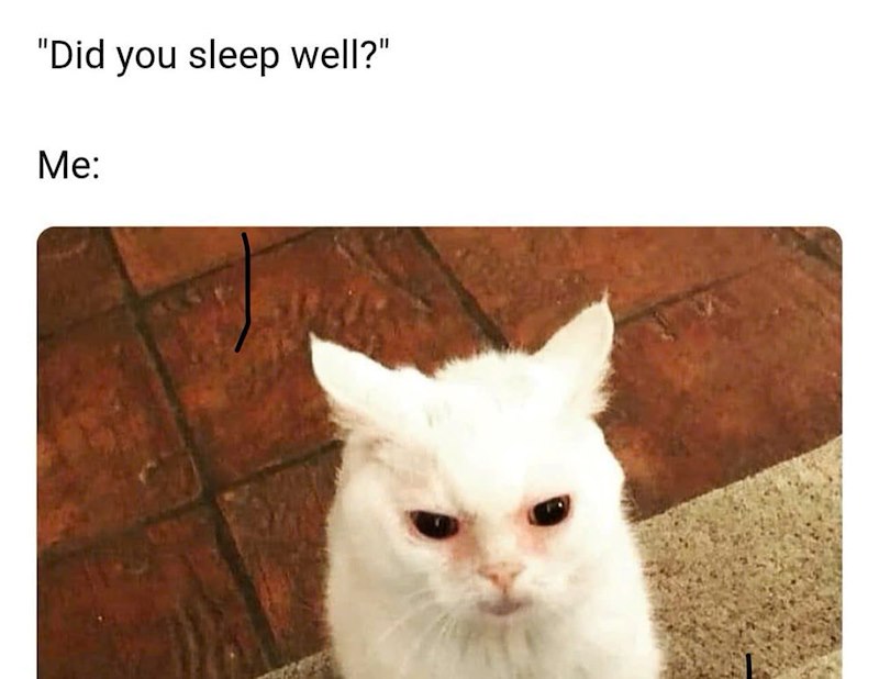 "Did you sleep well?" Me: