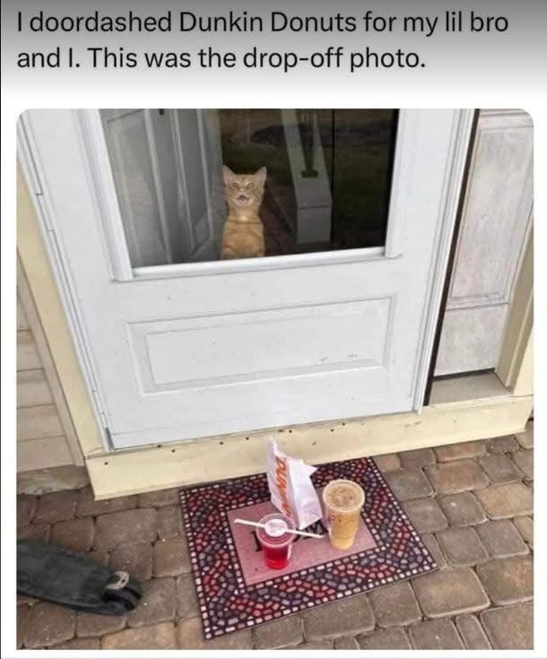 I doordashed Dunkin Donuts for my lil bro and I. This was the drop-off photo.