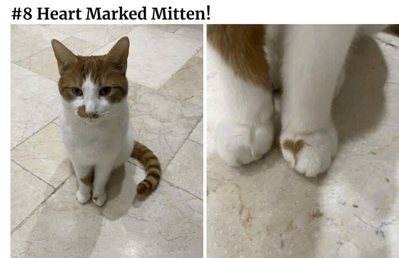 #8 Heart Marked Mitten!