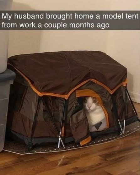 My husband brought home a model tent from work a couple months ago