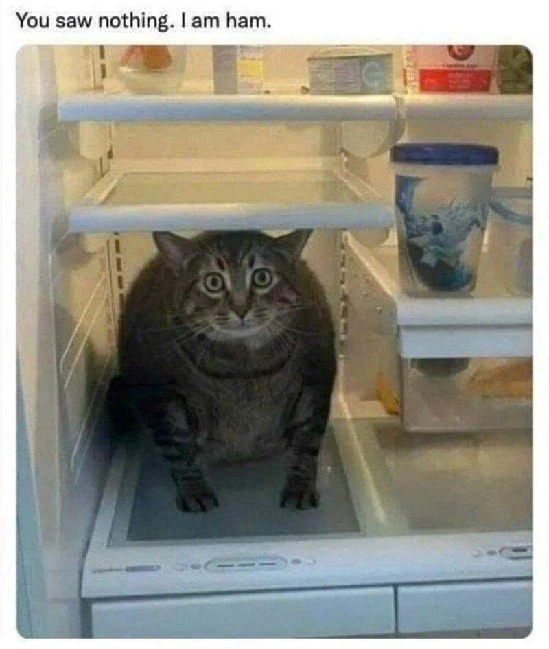 You saw nothing. I am ham.