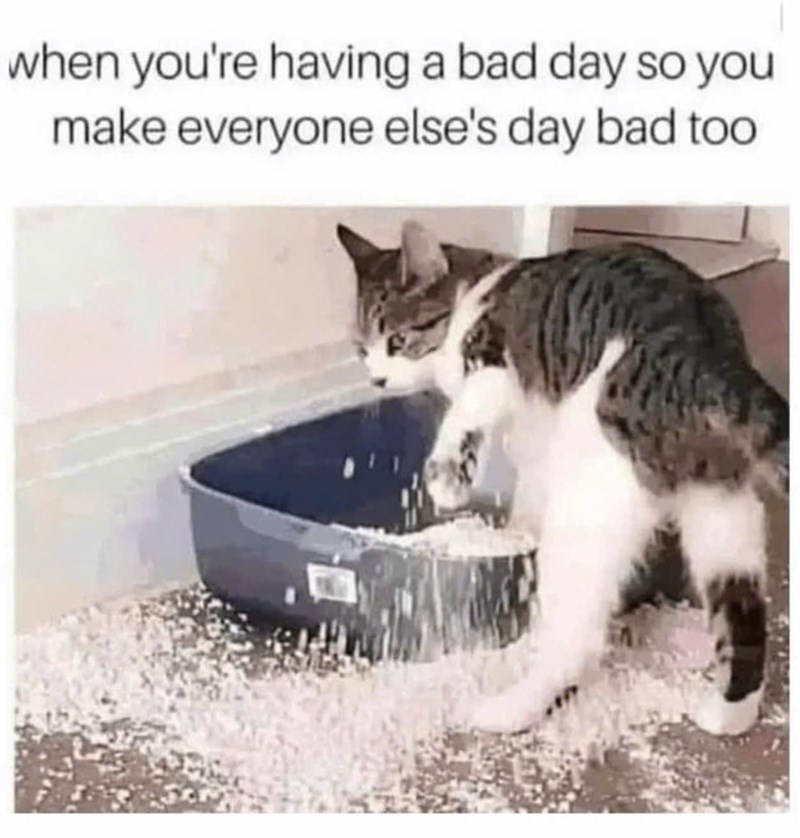 when you're having a bad day so you make everyone else's day bad too.