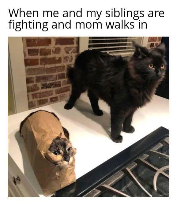 When me and my siblings are fighting and mom walks in