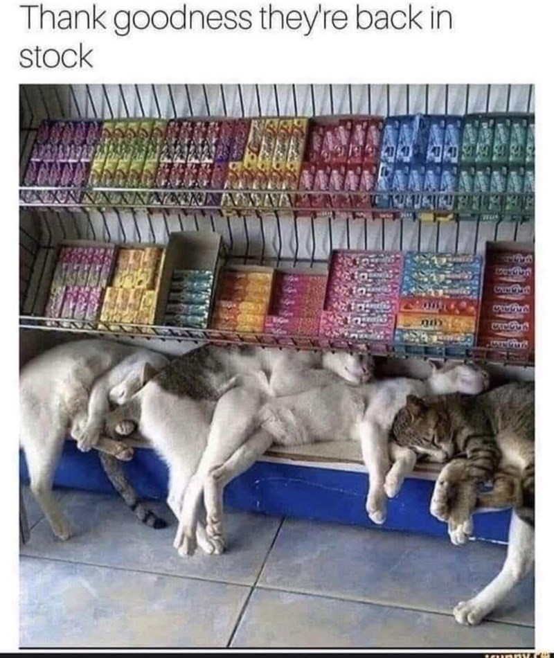Thank goodness they're back in stock 433335 CACCES
