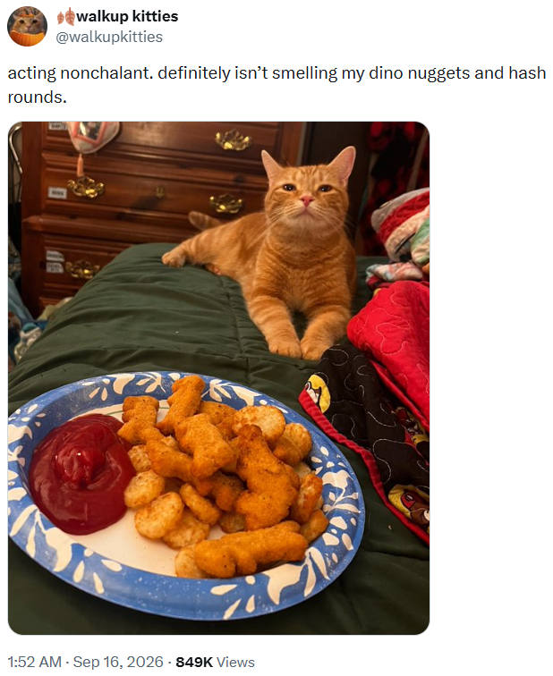 walkup kitties @walkupkitties acting nonchalant. definitely isn't smelling my dino nuggets and hash rounds. 1:52 AM - Sep 16, 2026 - 849K Views