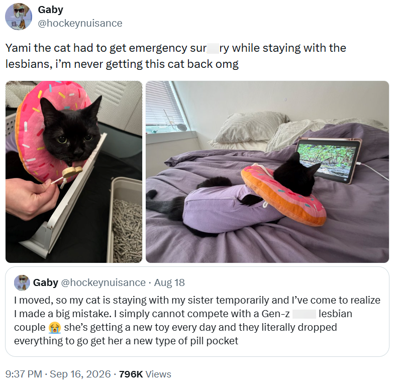 Gaby @hockeynuisance Yami the cat had to get emergency sur ry while staying with the lesbians, i'm never getting this cat back omg Gaby @hockeynuisance. Aug 18 I moved, so my cat is staying with my sister temporarily and I've come to realize I made a big mistake. I simply cannot compete with a Gen-z lesbian couple she's getting a new toy every day and they literally dropped everything to go get her a new type of pill pocket 9:37 PM ⚫ Sep 16, 2026 796K Views