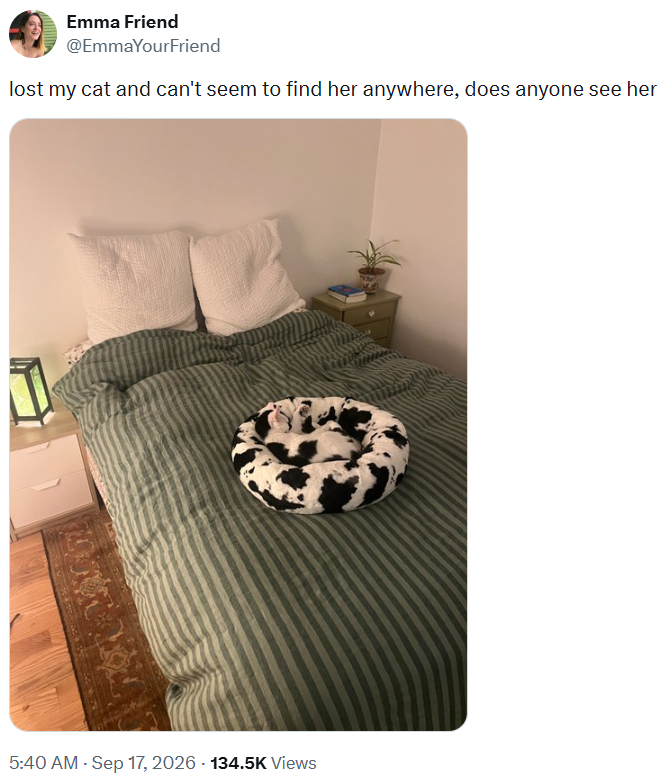 Emma Friend @EmmaYourFriend lost my cat and can't seem to find her anywhere, does anyone see her I 5:40 AM - Sep 17, 2026 134.5K Views